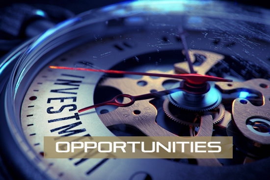 Nové investiční příležitosti s vysokou rentabilitou kapitálu